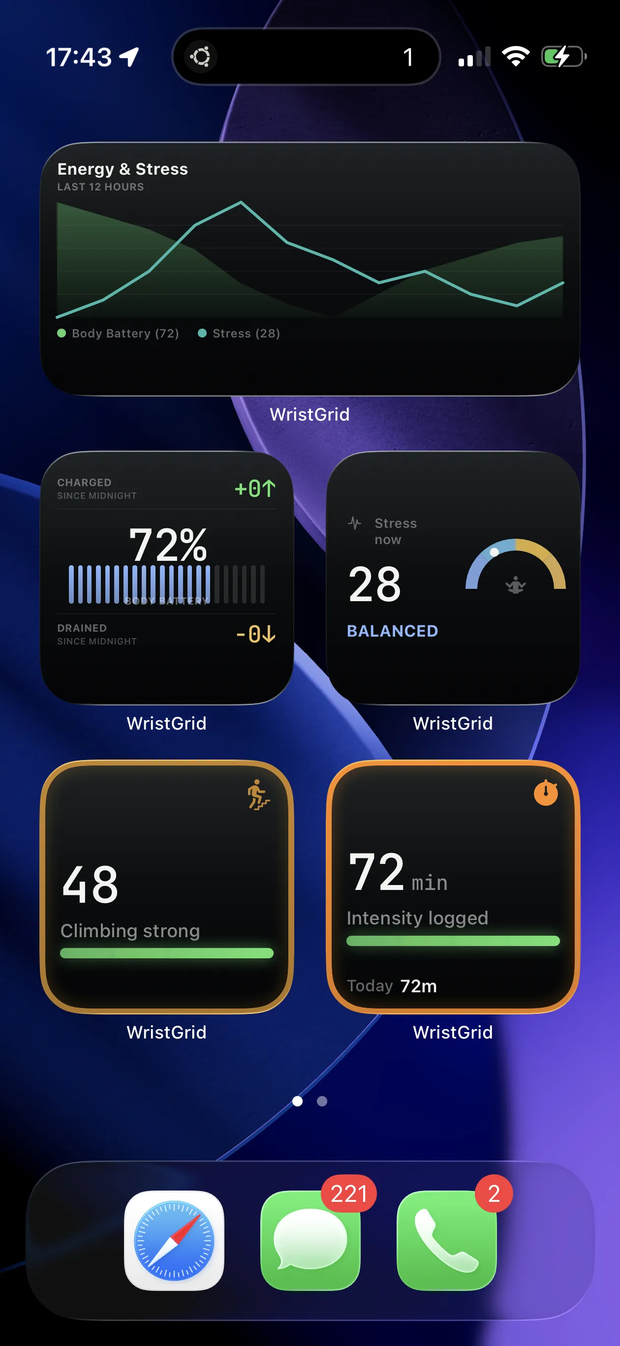WristGrid metrics on the iPhone Home Screen